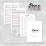 Planner Financeiro Permanente